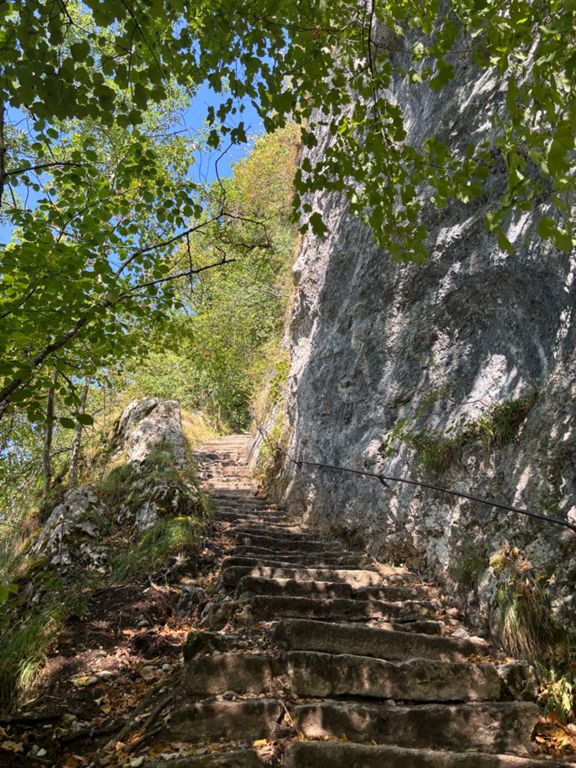 route-highlight