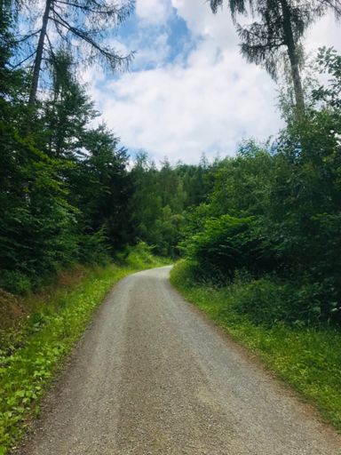 Sahnegravel. Davon scheint es im Spessart reichlich zu geben.