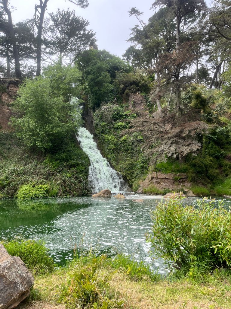 Butterlap (Presidio & Golden Gate Park) photo 62