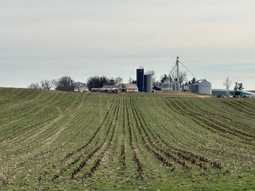 Hilly corn farms in all directions out here. 