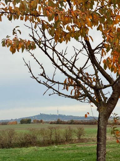 ...das Ziel immer fest im Blick