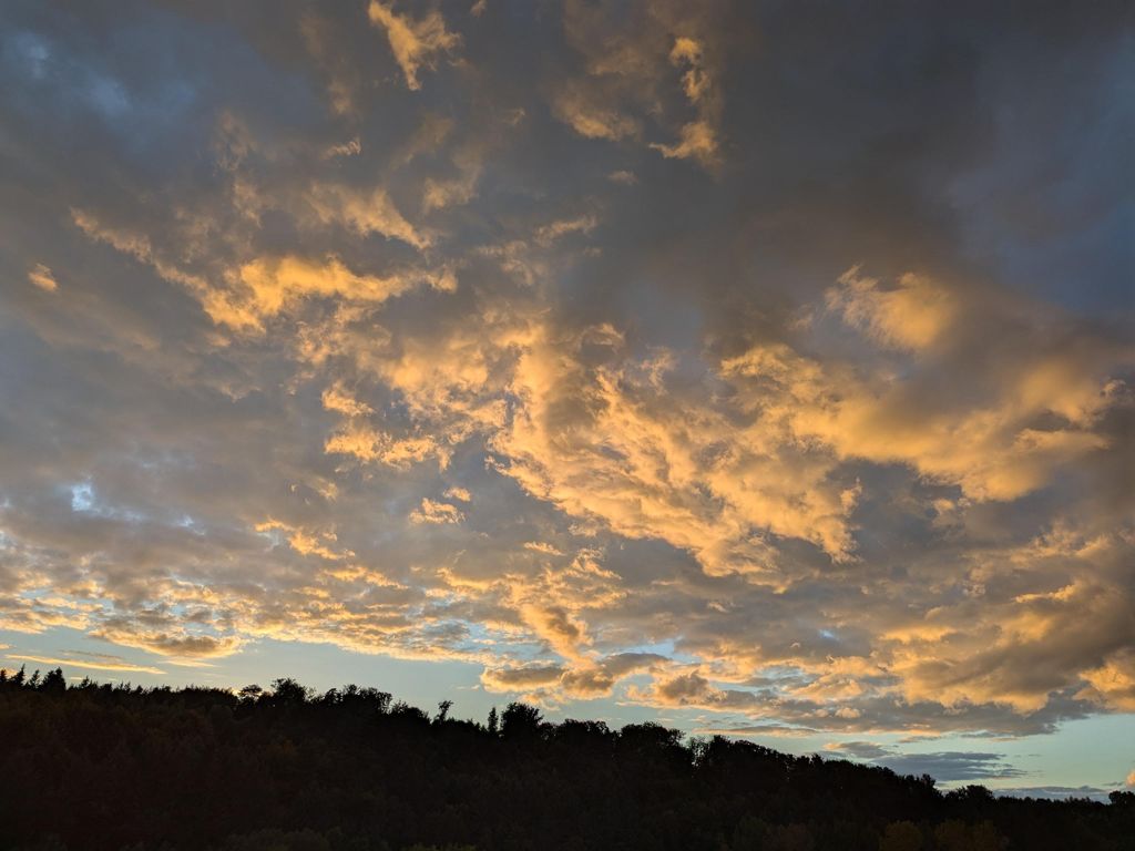 Photo prise après la sortie