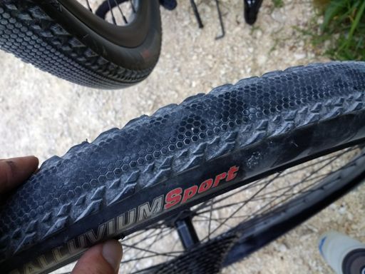 Vielleicht hätte ich doch nicht die Abkürzung durch die Brombeeren nehmen sollen 🤔 #mitohneschlauchwärnixpassiert