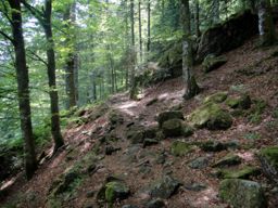 Lac de Longemer <-> Hohneck