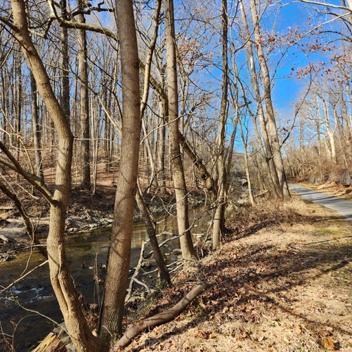 Northwest Branch Trail, following the Northwest Branch Anacostia River, just east of New Hampshire Ave. (MD 650).