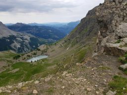 Rando fleurie autour du lac d’Allos