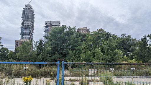 This used to be the front entrance of Sony Music, where I spent the '90s. Nature is reclaiming the whole site (offices, CD mfg, distribution, studio, rehearsal space, printing - the whole kit and caboodle!)