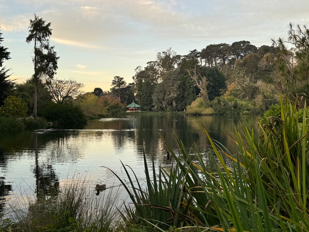 Butterlap (Presidio & Golden Gate Park)的照片 84