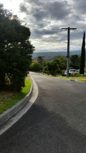 At the top of Baringa Rd - tough climb averaging 13% - gets to 26% at steepest point 😓. Photo only shows top half - bottom half is the steep bit!
