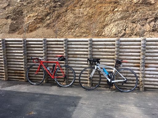途中まで一緒だった知らん人の自転車。色がかわいい。