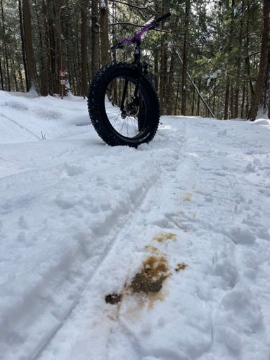 Brown klister season already! 😠💩