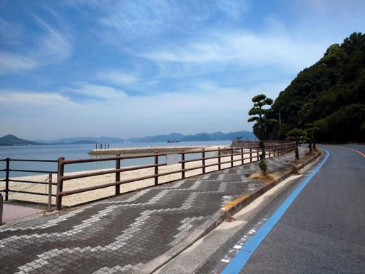 南へ走ろうか？と思ったが
午後から良い光がさすかも知れない
もう一度岩子島へ向かう