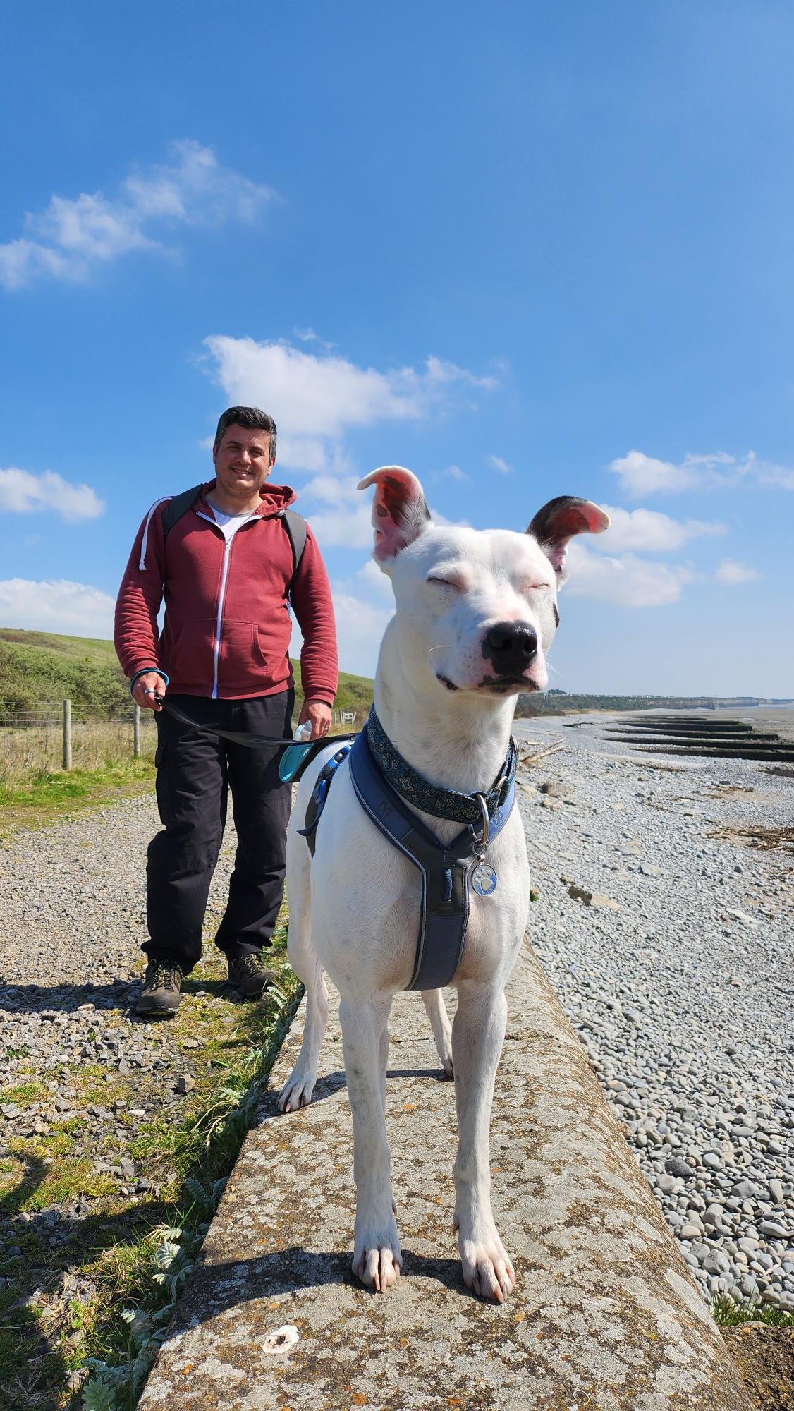 Strava Walk Activity