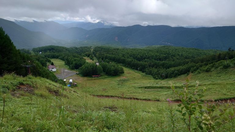 今日の下界はこんな感じ