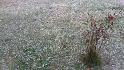 So sah es dann zu Hause aus.