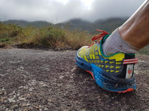 Hoka One One Speedgoat2. Melhor tênis de trail que já usei.