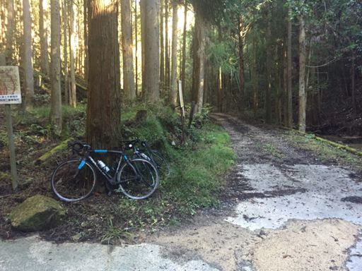 笠間ケ岳のピークから下り2㎞ほどは未舗装なので、ロードを押して歩きました…