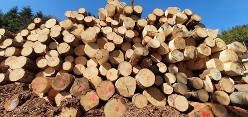 Holz vor der Hütte!