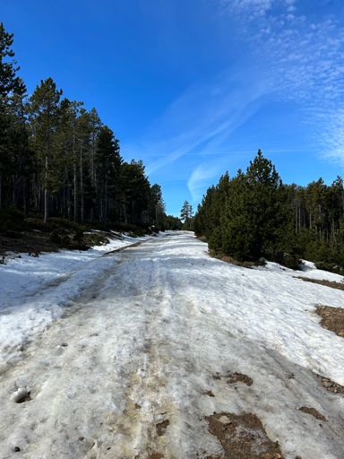 M’ha impedit seguir 😩😩