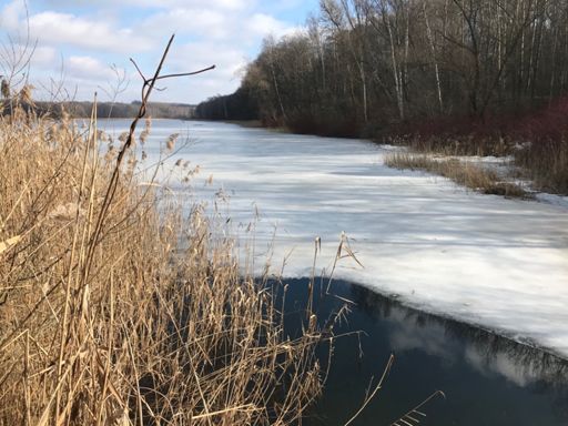 Lód kruchy, ale jeszcze znalazł się kozak, który na niego wlazł😳 (widać go na zbliżeniu)