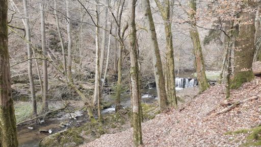 Wasserfall im Dünnbachtal.