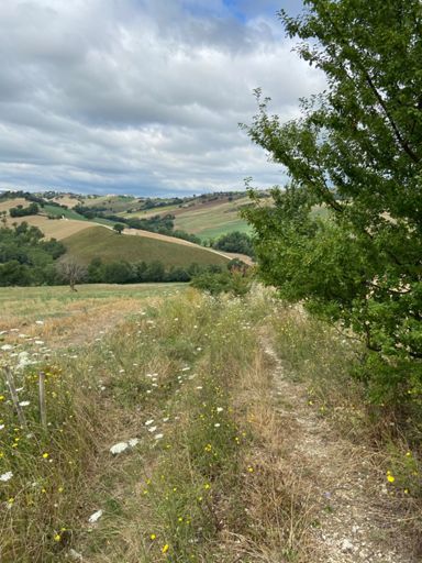 Mooie afdaling voor op de racefiets