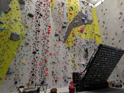 Escalade salle colmar