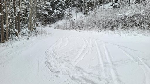 I enden av Elvågaveien ved Deledalen.