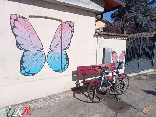 Frascaro, la farfalla