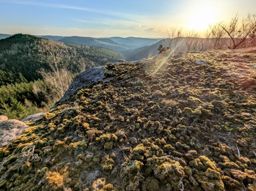 Sortie VTT en soirée