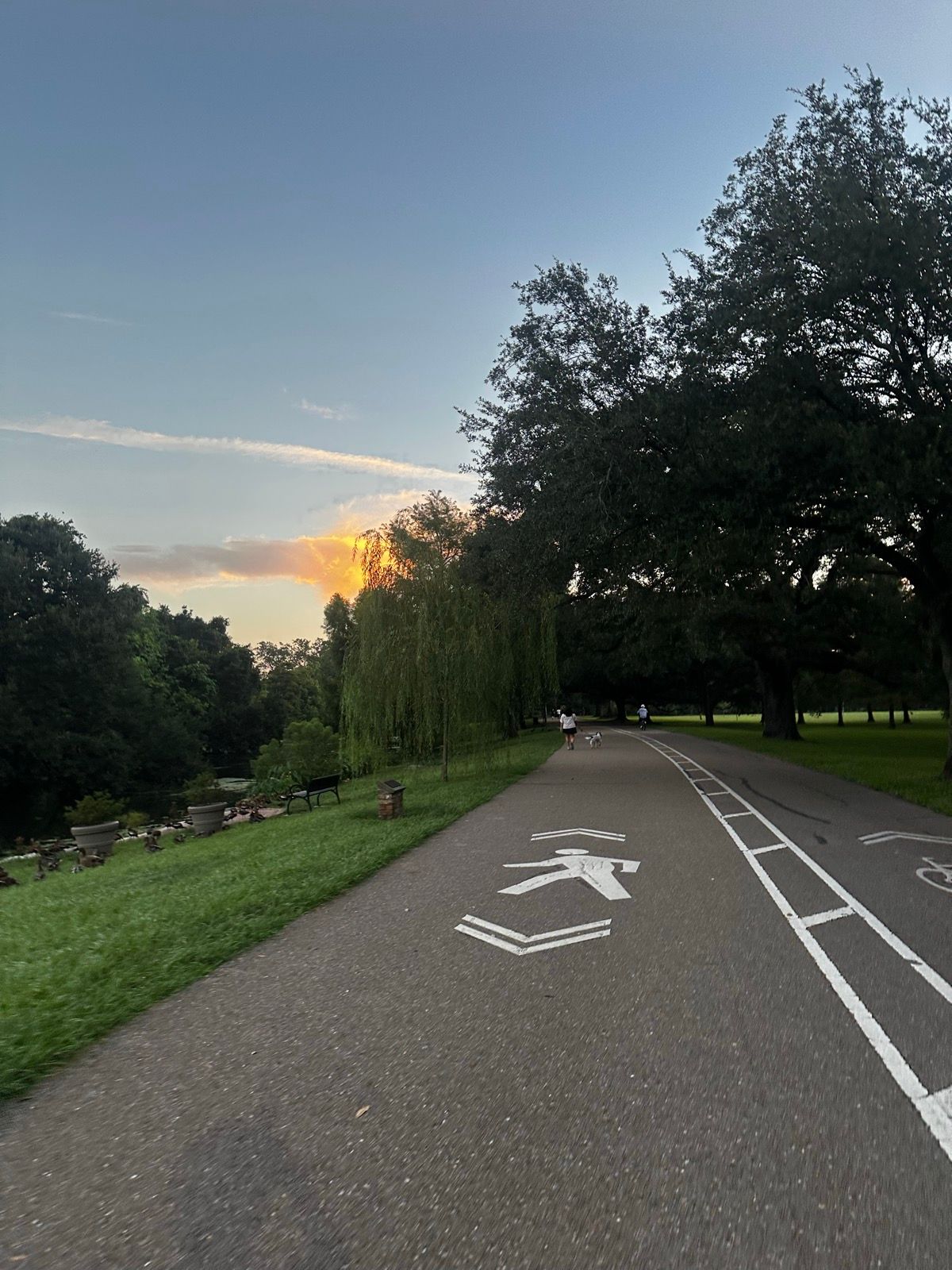 Morning Run