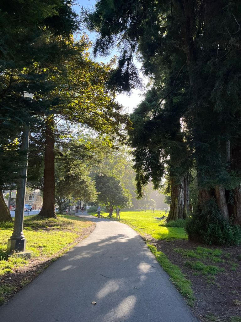 Butterlap (Presidio & Golden Gate Park) photo 17