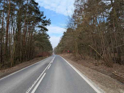 I od razu inaczej z tymy lasamy