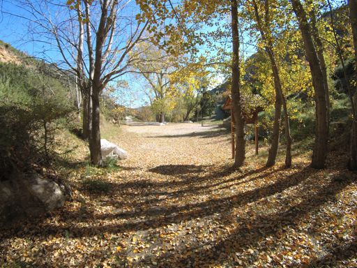 Fuente Alhondiga - El otoño ya esta aquí, cualquiera lo diría con estas temperaturas.