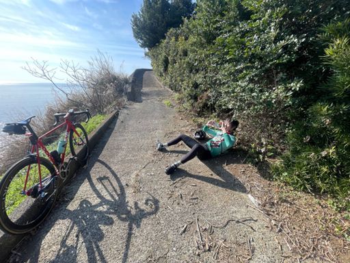 総帥も思わず📸