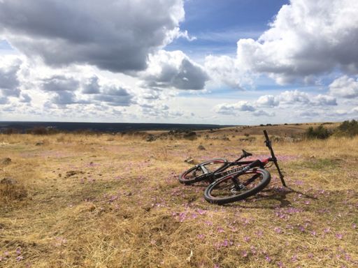 Descansando en el prado