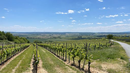 glifozátos bort, valaki? (-: