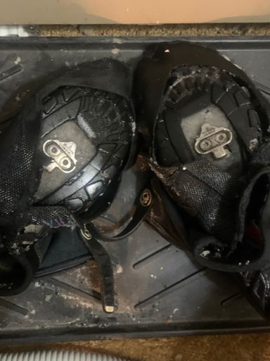 Clippless was a no go tonight 🤡