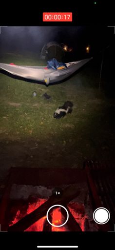 say hello to my little friend