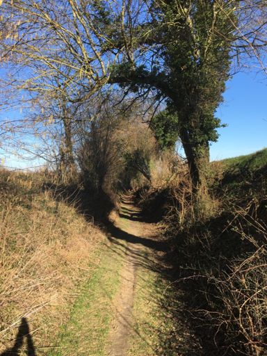 Ich liebe die Hohlwege einfach 😍