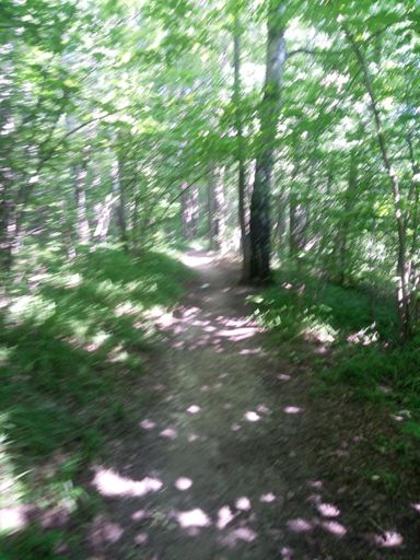 Хонда как асфальт.