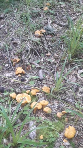 In Blasiewald vor der Mittagschicht