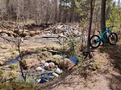 Kommer det fersk rakfisk oppi tjernet i år også. Spent.