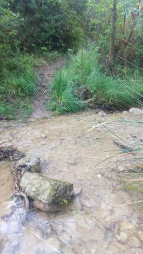 Mooie Singletrack met oversteek beek