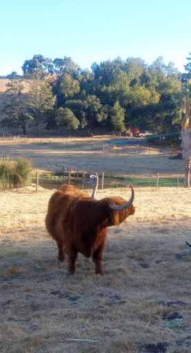 I was not authorized to take his picture 😉