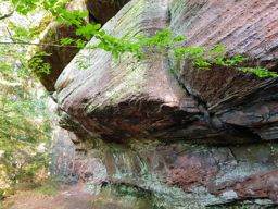 Lamproy, Grand Rougimont, Grand retour