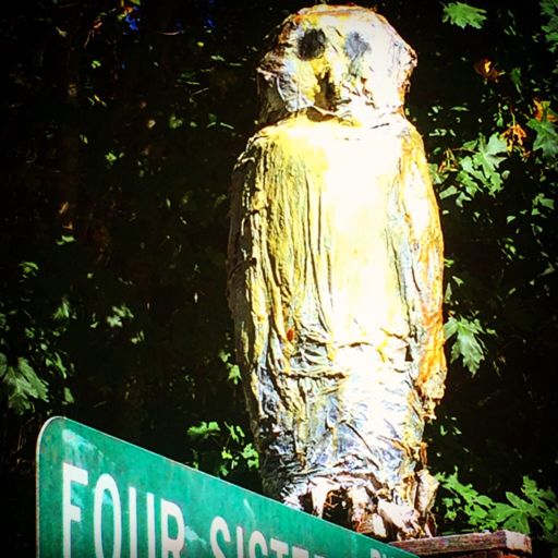 ..... good omen....?