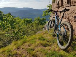 Kaysersberg Bilstein