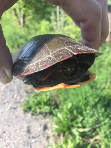 Hello where am I ???