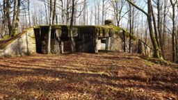 Rando-trail Waldeck